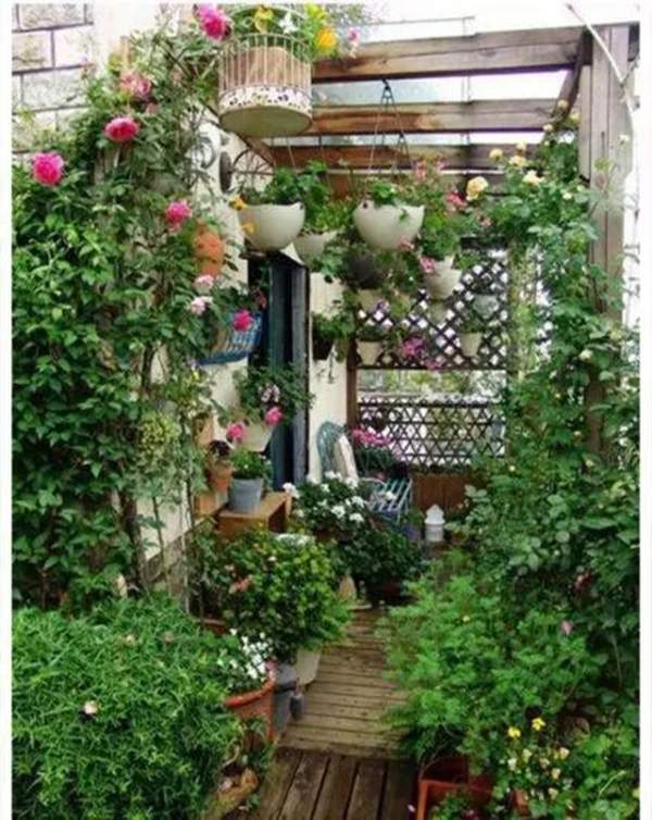 陽臺綠化 陽臺綠化