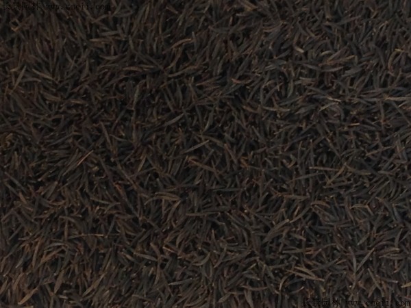 格?；ǚN子圖片