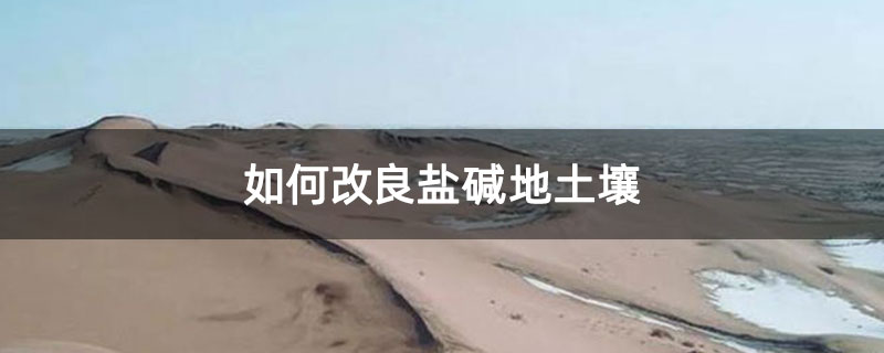 如何改良鹽堿地土壤 如何改良鹽堿地土壤